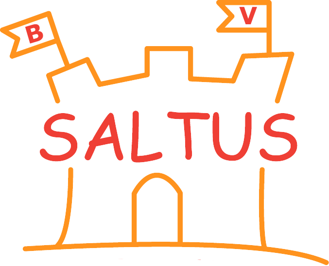 Saltus - Springkastelen, trampolines, tenten en volksspelen.
